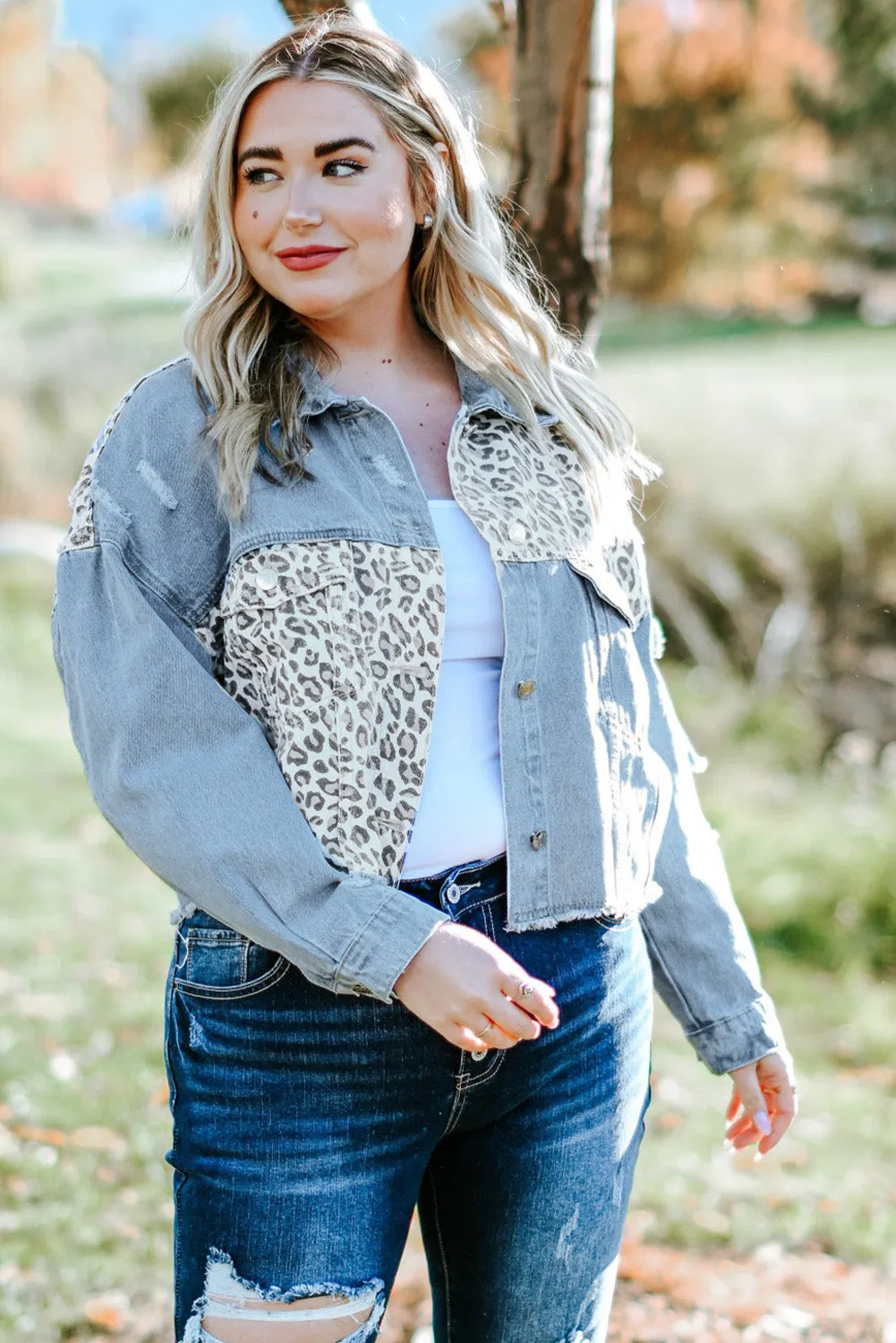 Date Night Leopard Distressed Denim Jacket (Curvy)