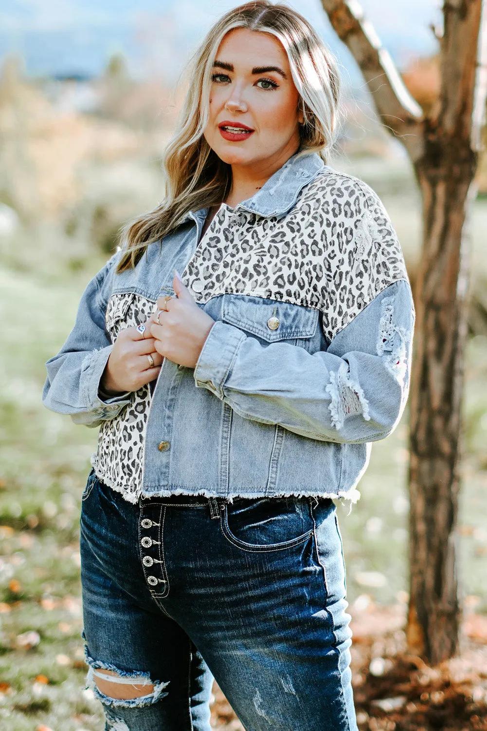 Date Night Leopard Distressed Denim Jacket (Curvy)