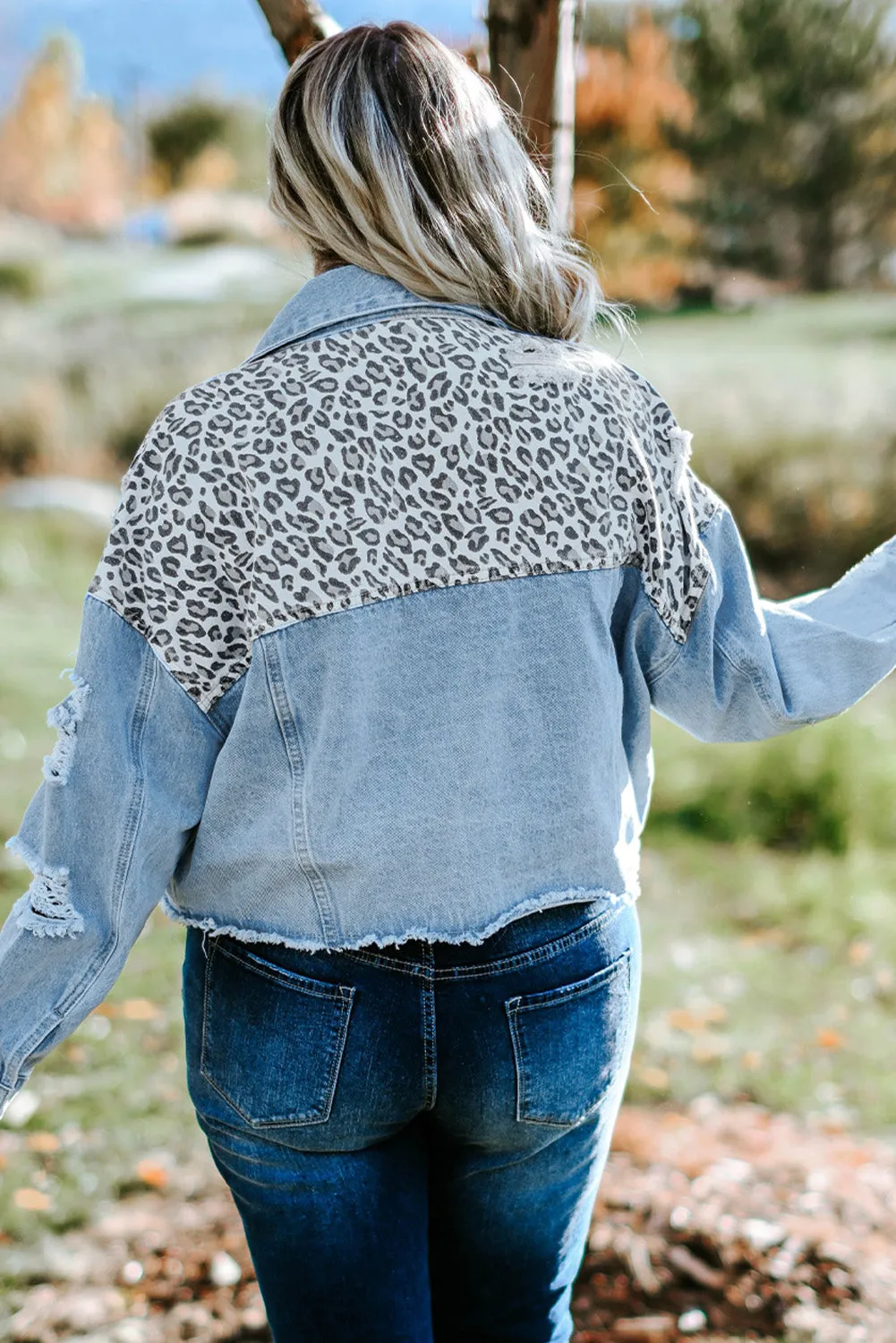 Date Night Leopard Distressed Denim Jacket (Curvy)